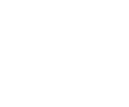 Evolution games at Wintomato Casino